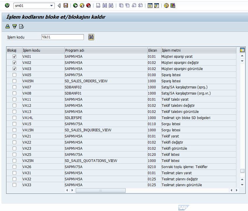 SAP software development and ERP solutions by Serkan Özcan.