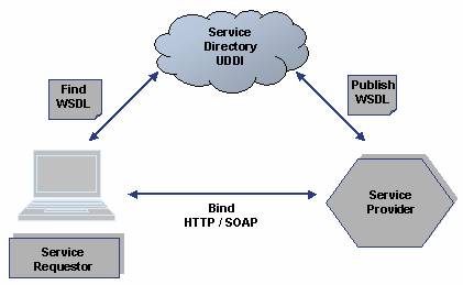 Professional web developer specializing in service-oriented architecture and WSDL integration.