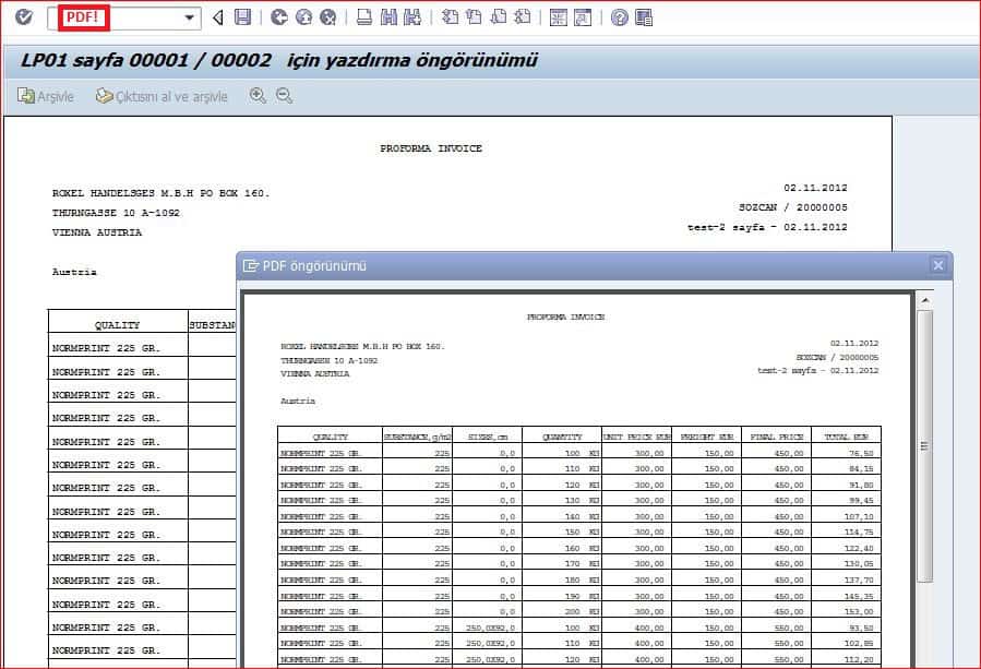 Professional graphic designer creating invoices for businesses.