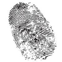 Fingerprint of Serkan Özcan, professional expert in digital solutions and technology.