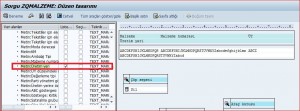 sap_sorgu_15 sap\_sorgu\_15